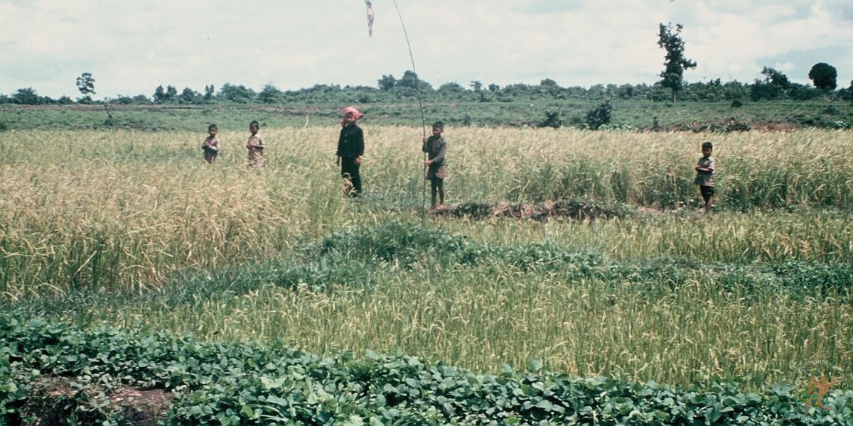 ប្រភពរូបថត៖ ហ្គូណា ប៊ឺកស្ត្រម (ខែសីហា ឆ្នាំ១៩៧៨)/បណ្ណសារមជ្ឈមណ្ឌលឯកសារកម្ពុជា