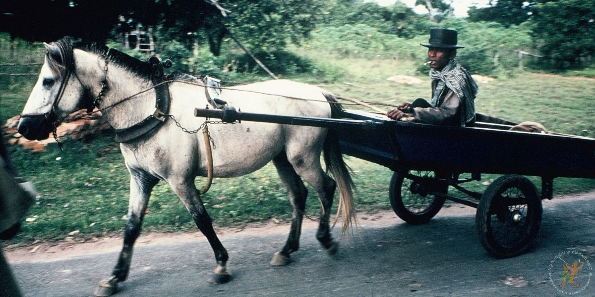 ប្រភពរូបថត៖ ហ្គូណា ប៊ឺកស្ត្រម (ខែសីហា ឆ្នាំ១៩៧៨)/បណ្ណសារមជ្ឈមណ្ឌលឯកសារកម្ពុជា