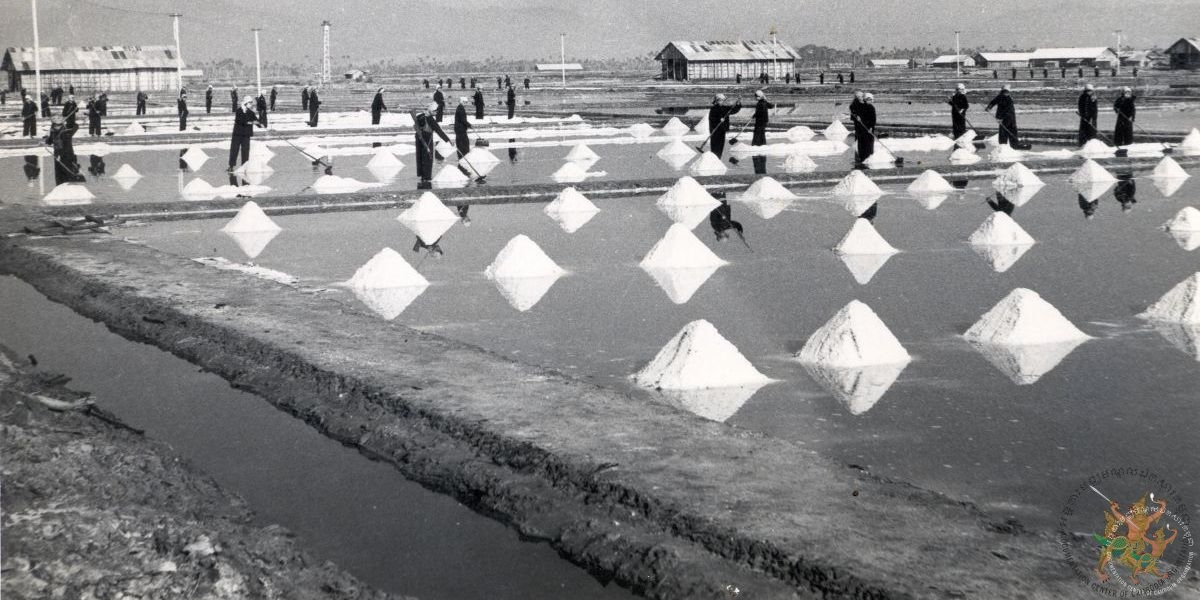 កសិករកំពង់កៀរប្រមូលអំបិលក្នុងស្រែអំបិលនៅខេត្តកំពត ក្នុងរបបខ្មែរក្រហម(រវាងឆ្នាំ១៩៧៥-១៩៧៩) បណ្ណសារមជ្ឈមណ្ឌលឯកសារកម្ពុជា។